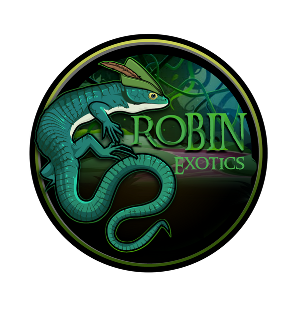 Robin Exotics 